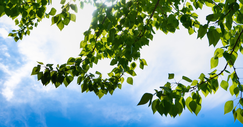 US Cities With Cleanest Air